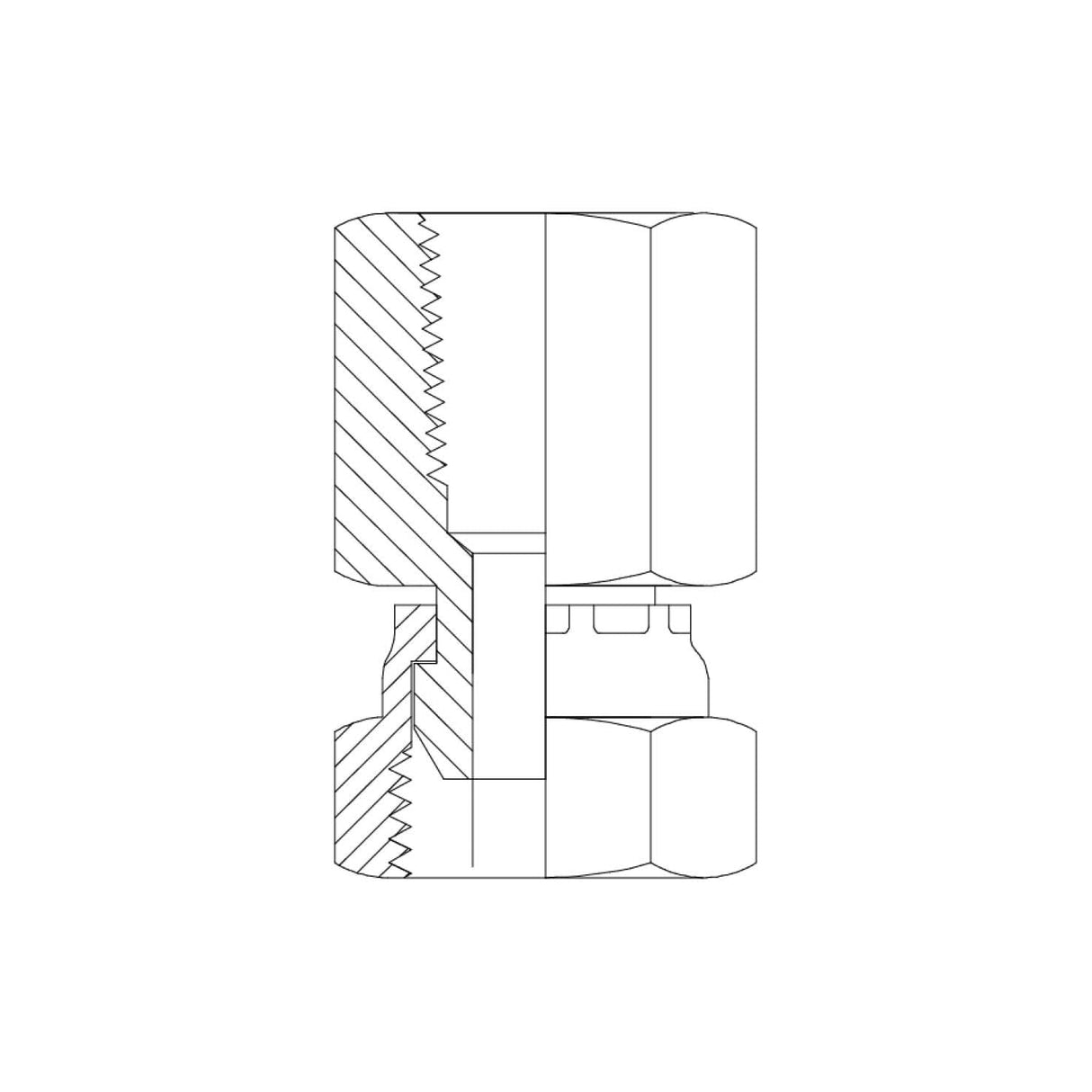 BTF-BPFX - BSPT Fixed Female x BSPP Female Swivel