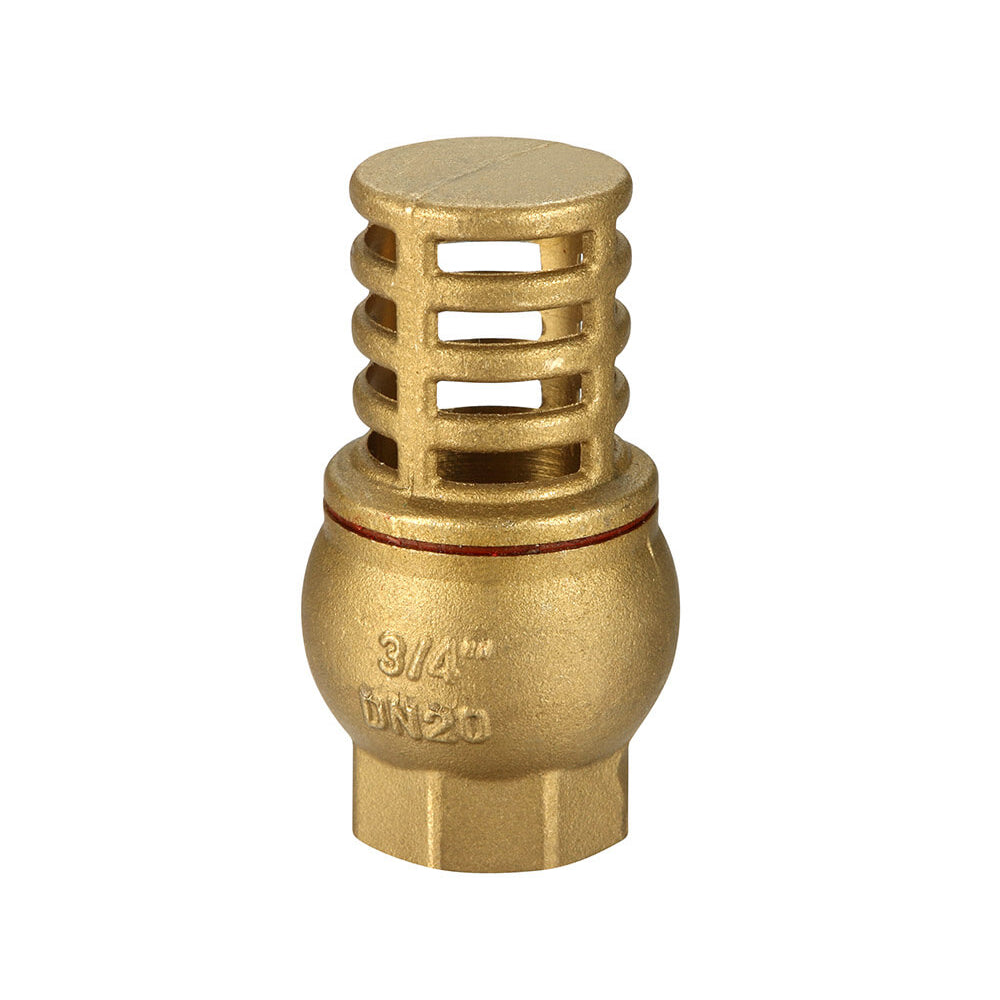 Foot Valve - Brass General Purpose BSP