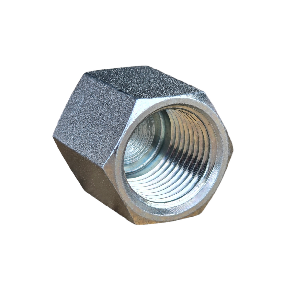 NPT Female Cap | Hydraulic Fitting | Tas Hose