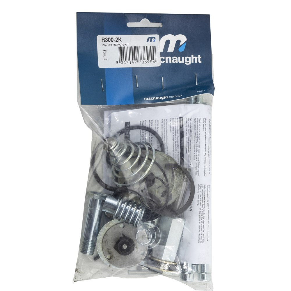 MAJOR OVERHAUL KIT SPARE PART - SUITS R-SERIES AIR OPERATED OIL PUMPS 3:1 RATIO