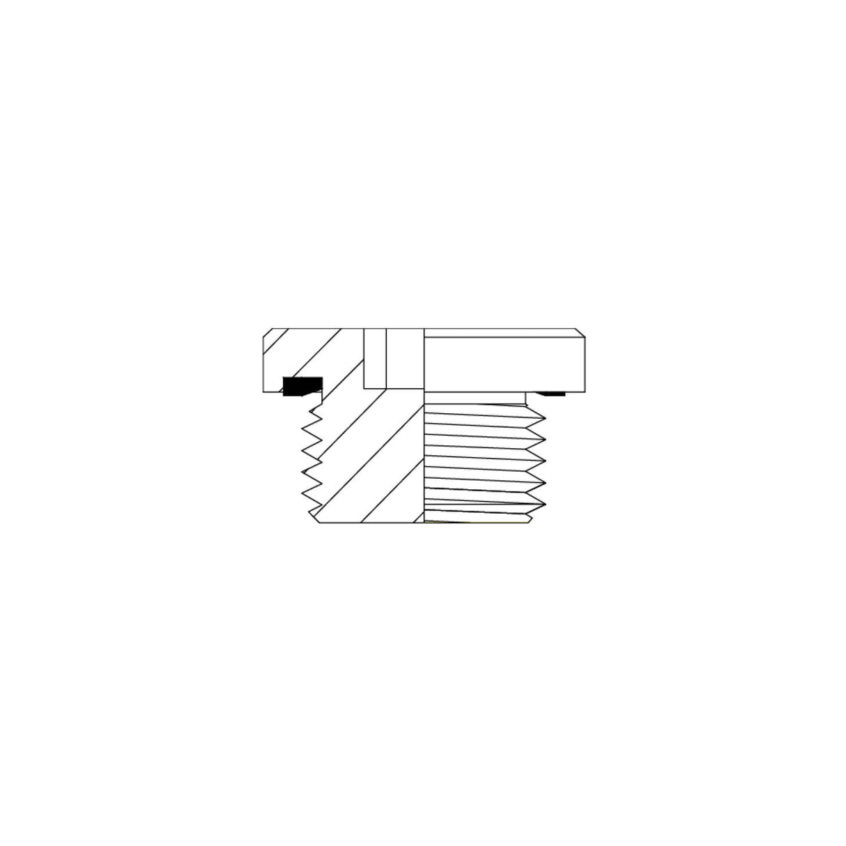 4G-N - BSPP MALE SOCKET HEAD PLUG