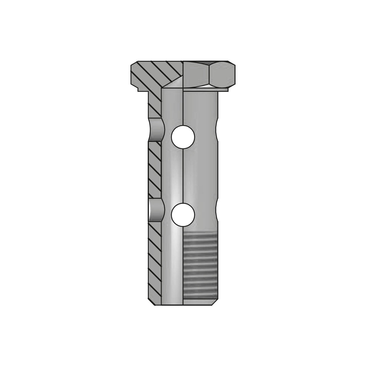 ABFDG - DOUBLE BSP BANJO BOLT