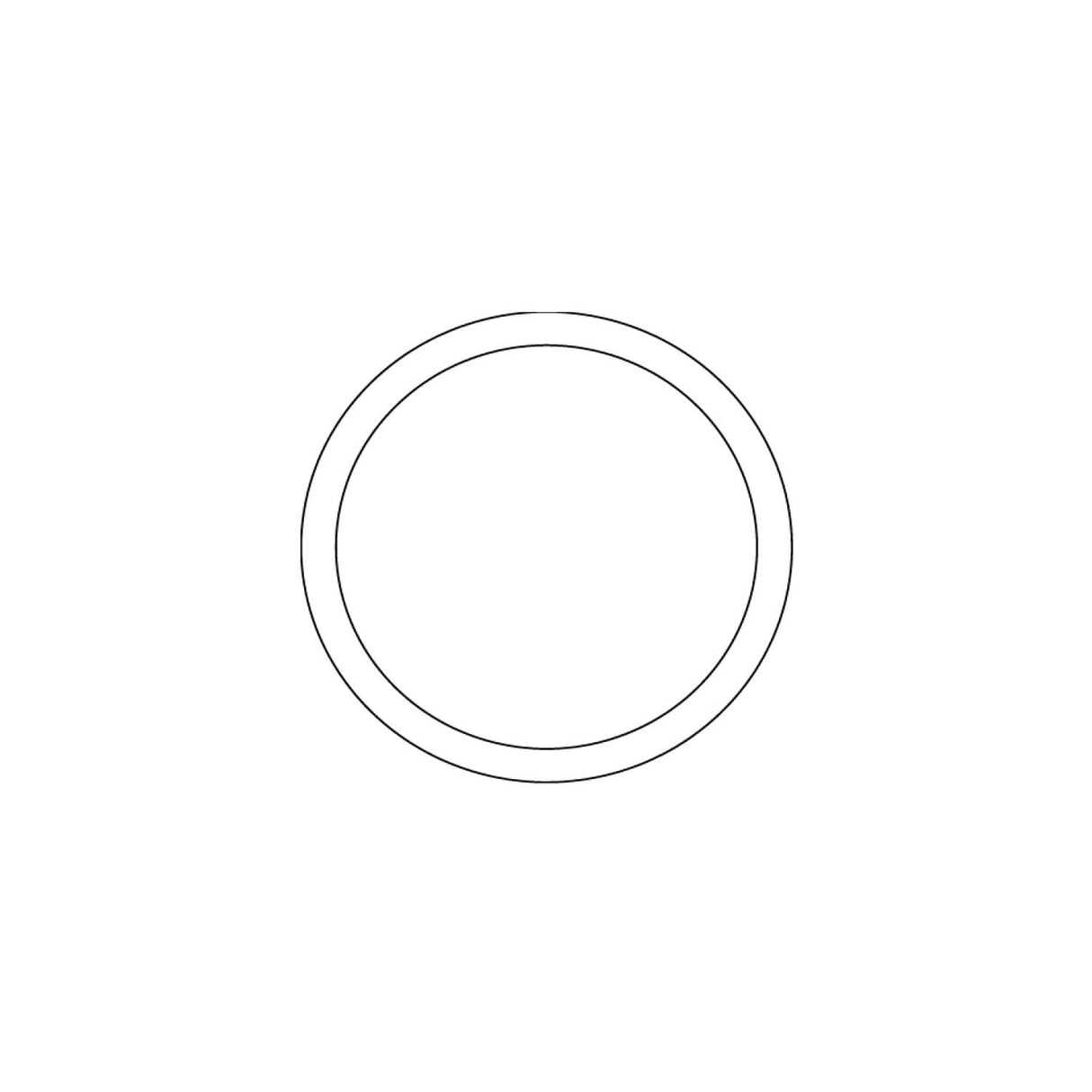 OR-BRR - BSPP RETAINING RING